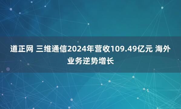 道正网 三维通信2024年营收109.49亿元 海外业务逆势增长