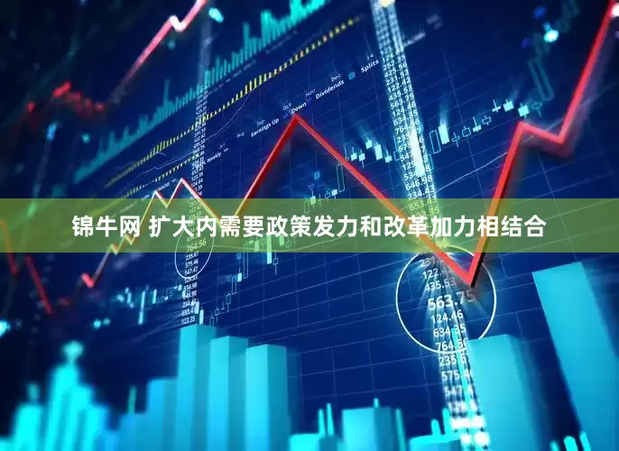 锦牛网 扩大内需要政策发力和改革加力相结合