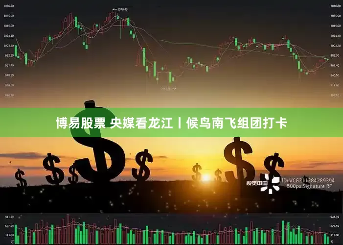 博易股票 央媒看龙江丨候鸟南飞组团打卡